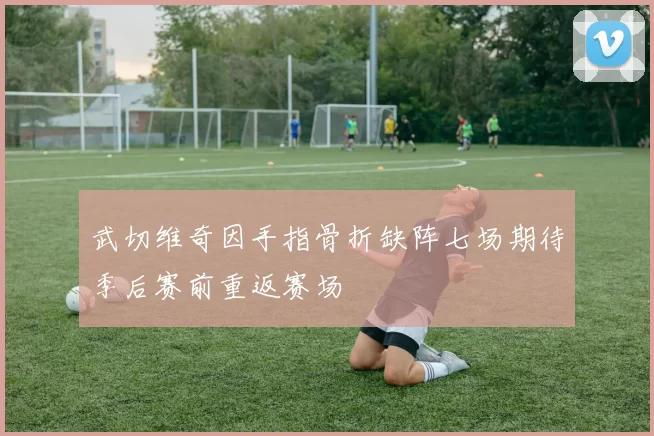 武切维奇因手指骨折缺阵七场期待季后赛前重返赛场